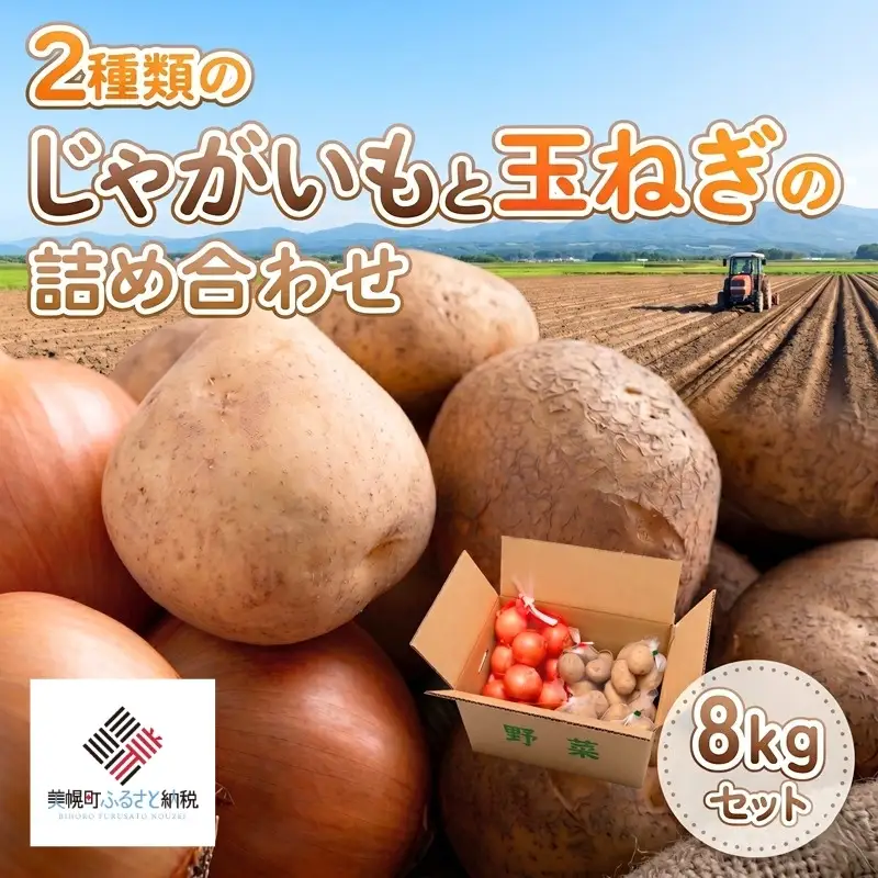 2種類のじゃがいもと玉ねぎの詰め合わせ 約8kgセットAF080 | じゃがいも 玉ねぎ