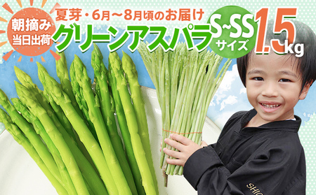 数量限定 アスパラ S～SS サイズ 1.5kg 朝採り 直送 夏芽 グリーンアスパラガス 朝採れ 先行予約 【2026年6月から8月お届け】 BT09