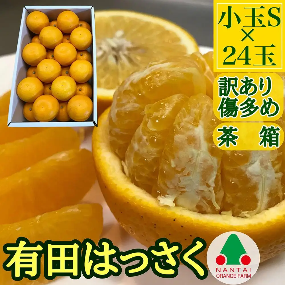 訳あり 傷多め 手詰め 有田 はっさく 小玉 S サイズ × 24玉入 南泰園 みかん