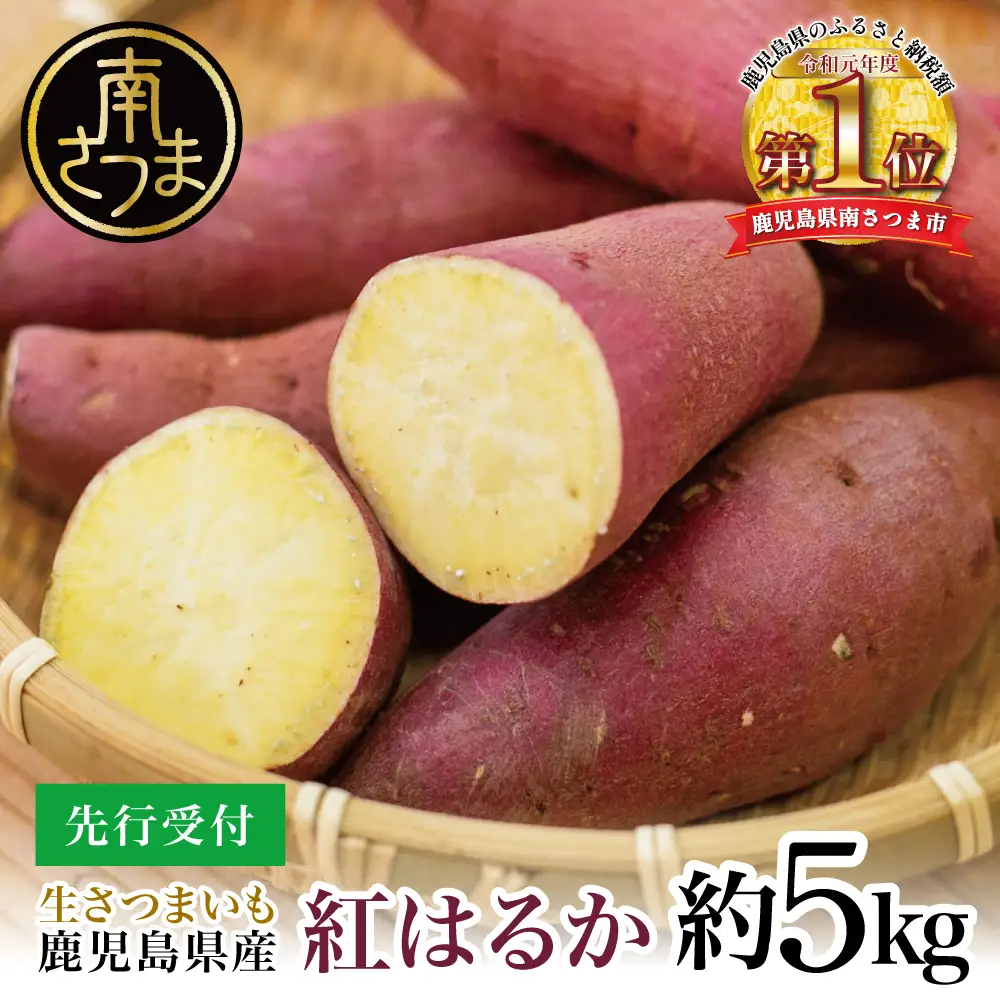 【鹿児島県産】生さつまいも「紅はるか」約5kg ★11月以降順次出荷★ 冬季限定 先行受付 さつまいも 生いも 生芋 焼き芋 さつま芋 甘藷 サツマイモ べにはるか スイーツ 野菜 貯蔵 常温保存 旬 JA南さつま 鹿児島県 南さつま市