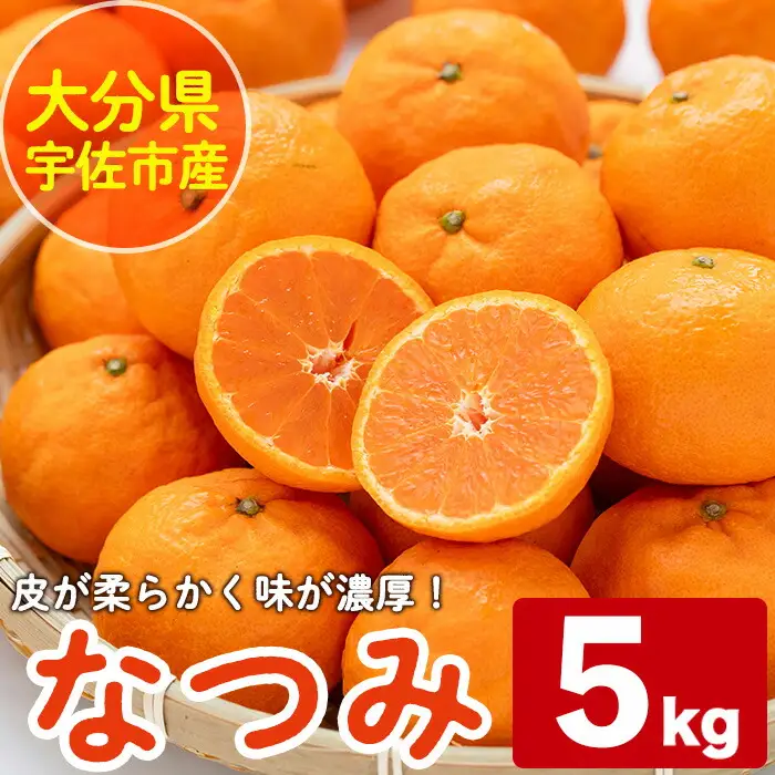 ＜先行予約受付中！2026年4月下旬から9月上旬順次発送予定＞なつみ(約5kg)ハウス 樹成 完熟 みかん 蜜柑 柑橘 かんきつ フルーツ 果物 くだもの【111600200】【永木農園】