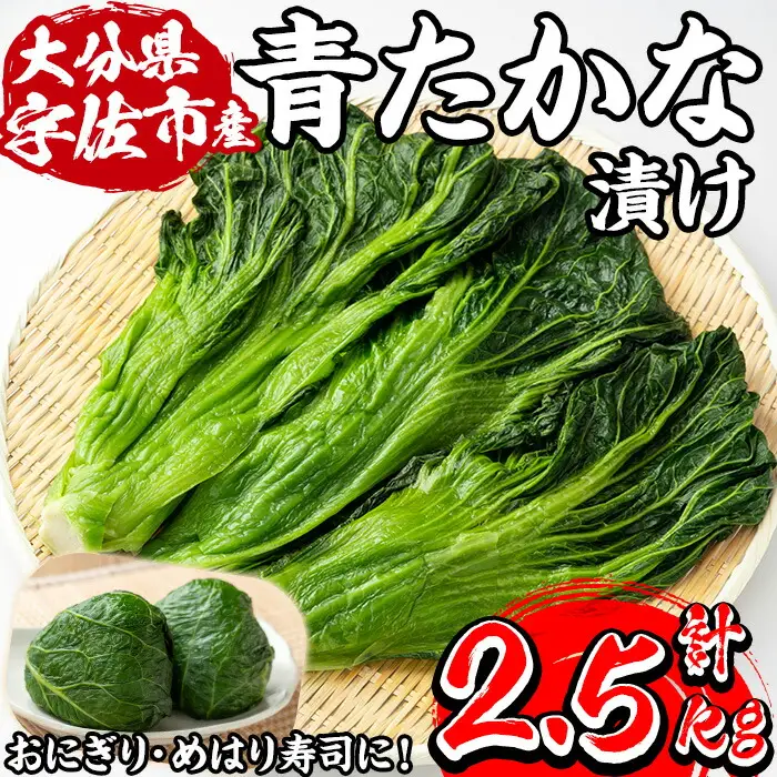 自家農園栽培 青たかな漬け(2.5kg)たかな 高菜 ちりめん高菜 漬物 漬け物 ご飯のお供 おにぎり 自家農園 大分県産【103200100】【松本漬物】