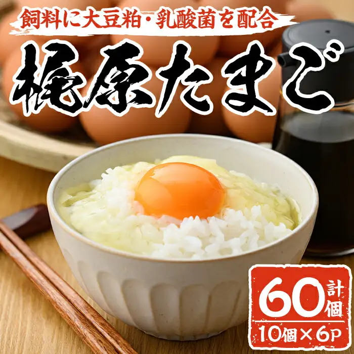 梶原たまご(計60個・10個×6P) 卵 玉子 鶏卵 卵かけご飯 玉子焼き【108800200】【カジワラファーム】
