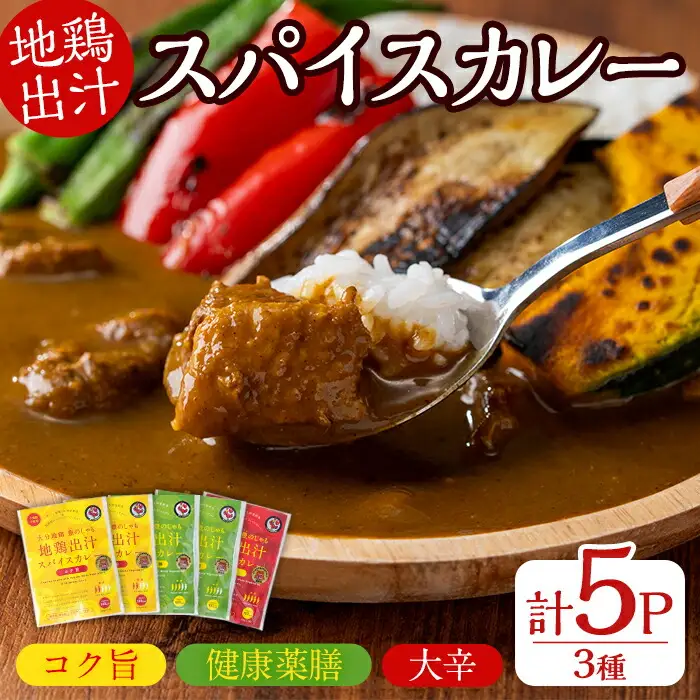 大分地鶏豊のしゃも地鶏出汁スパイスカレー(計900g・180g×5パック)レトルト 簡単調理 惣菜 時短 常温 ご当地カレー【112400301】【天峯ファーム】