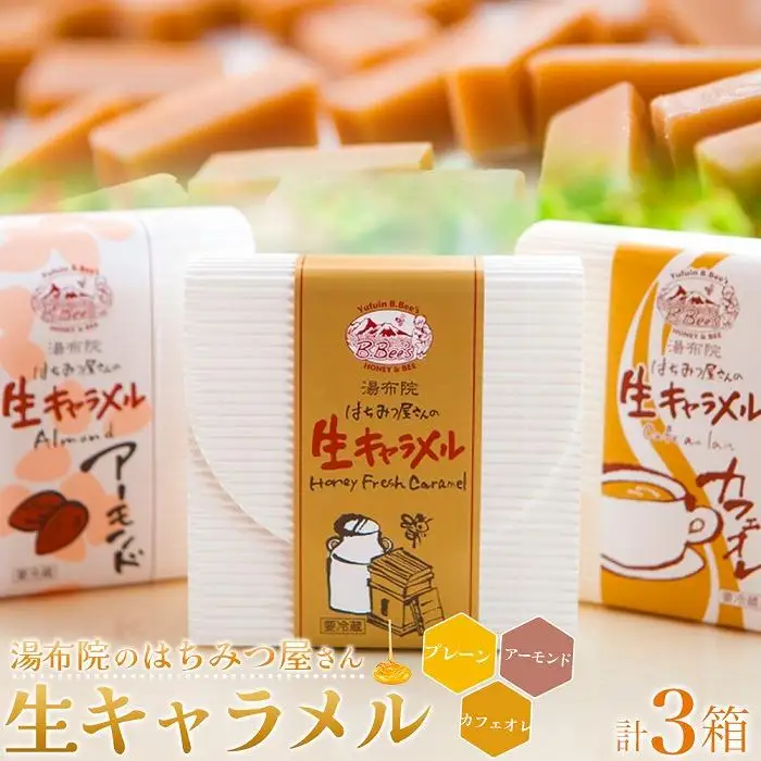 【湯布院のはちみつ屋さん】国産蜂蜜を使用した3種の生キャラメル （プレーン・カフェオレ・アーモンド）各12粒入り 計3箱