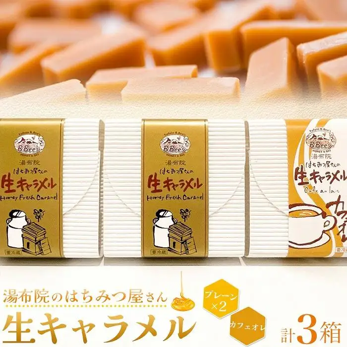 【湯布院のはちみつ屋さん】国産蜂蜜を使用した2種の生キャラメル（プレーン×2・カフェオレ）各12粒入り 計3箱