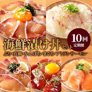 お魚の漬け丼バラエティ10回 定期便 海鮮 漬け丼 セット ぶり 真鯛 かんぱち まぐろ サーモン 流水解凍 海鮮丼 簡単 便利 小分け 個包装 刻み海苔 日向灘 九州 宮崎県 延岡市 冷凍 お取り寄せ N019-YG0190