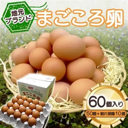 「地元ブランド」まごころ卵60個入り(卵50個と割れ保障10個)　鶏卵(生食用)_卵・乳製品 卵  たまご タマゴ 玉子_【配送不可地域：離島】【1008774】