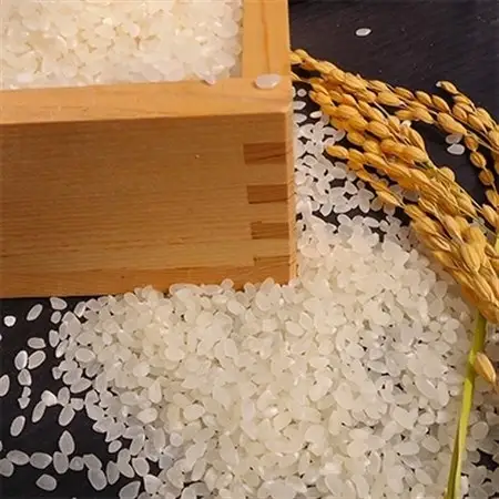 北村さんちの米コシヒカリ　6kg(2kg×3袋)精米_ コシヒカリ 米 こしひかり_【1052249】