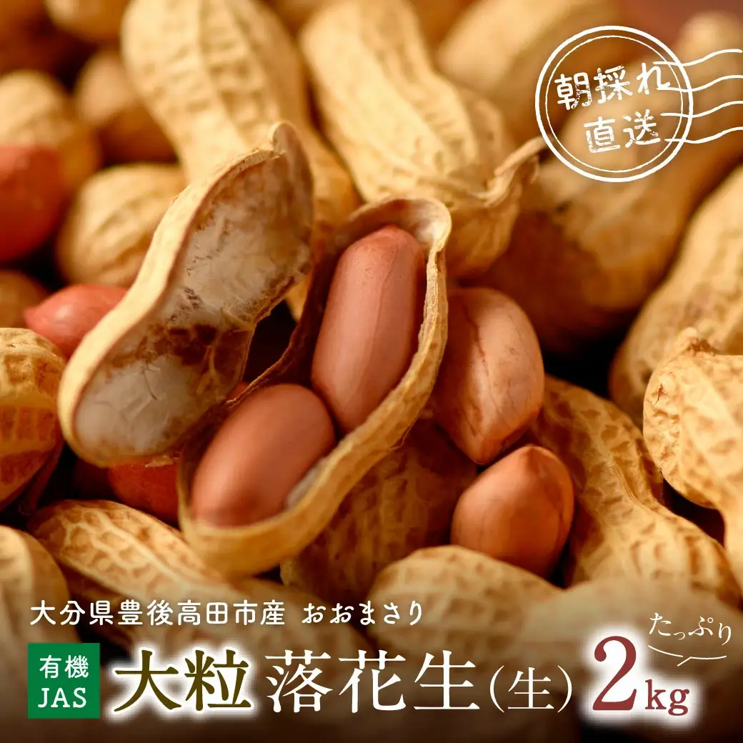 落花生【先行予約】有機栽培 大粒落花生 2kg