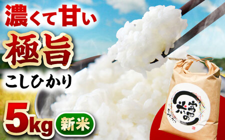 【R8年新米】恵那岩村とみだコシヒカリ精米5kg / コシヒカリ 恵那市 / 山丸屋商店 [AUDA001]