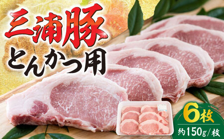 豚肉 三浦豚 ロース900ｇ（ステーキ）/ 恵那市 / あづま精肉店 [AUDL002] 豚肉