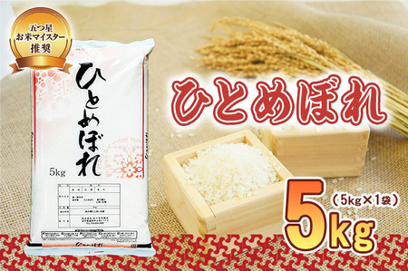 ひとめぼれ 5kg令和7年産 ひとめぼれ 佐々木米穀店