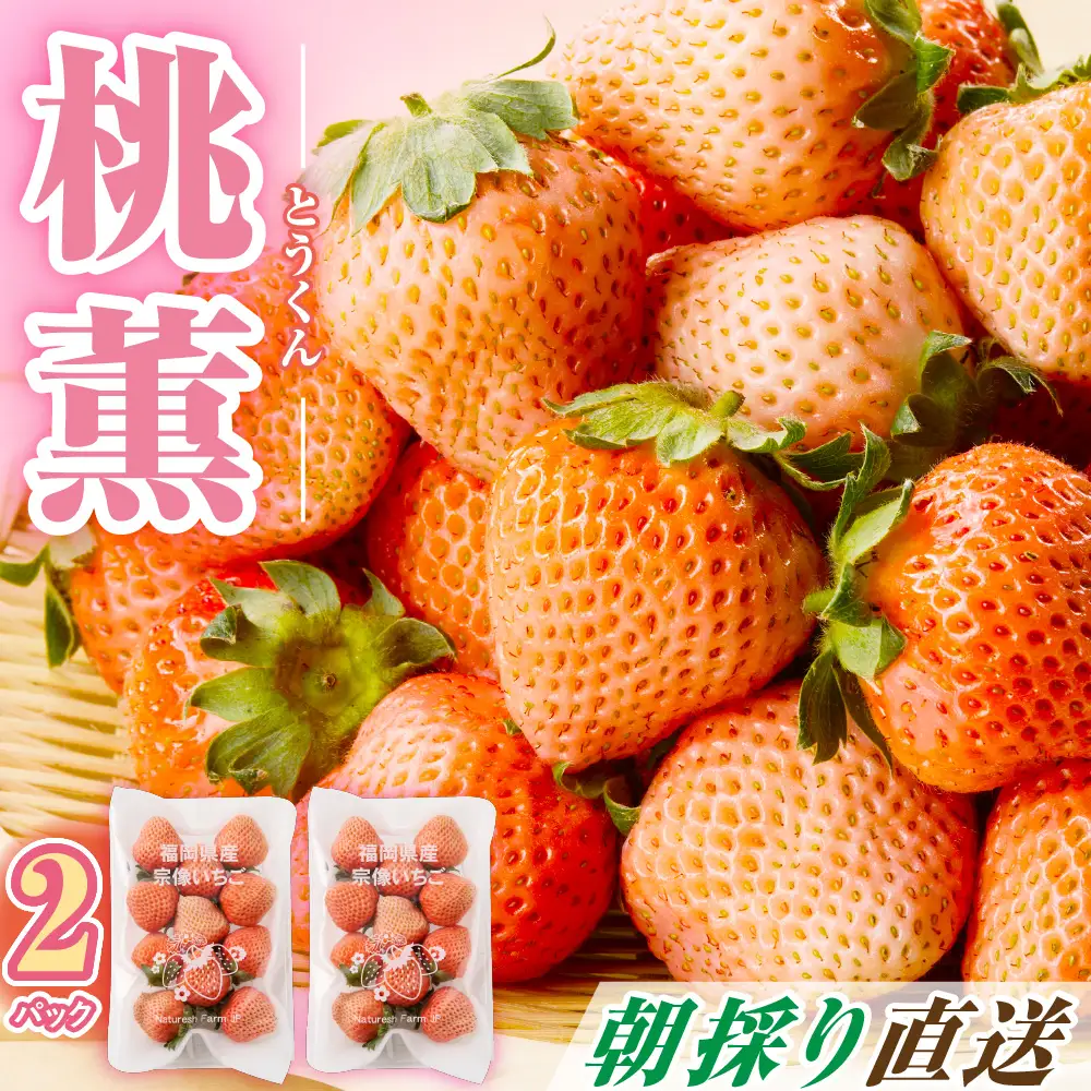 【先行予約】【2026年12月中旬より順次発送】福岡県産　桃薫　2パックセット【ナチュレッシュ・ファーム・ジェイピー】_HA1338