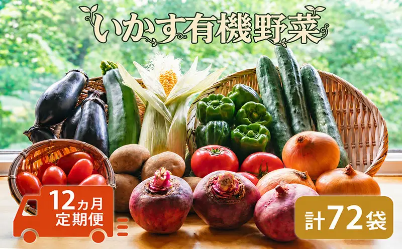野菜 いかす有機野菜 1年分 (月1回6袋お届け12回分) セット 詰合せ