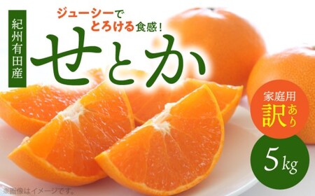 【2027年先行予約】とろける食感！ジューシー柑橘 せとか 5kg 【家庭用 訳あり】_G7355