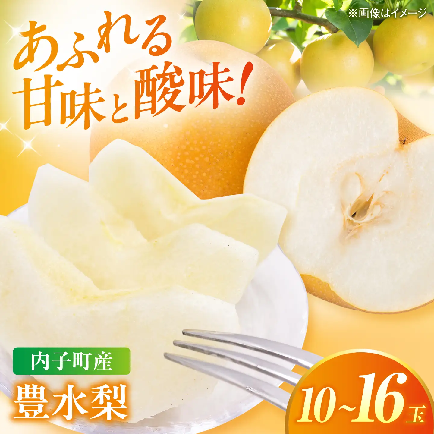 【先行予約】豊水梨【10-16玉】 BKAY023 梨