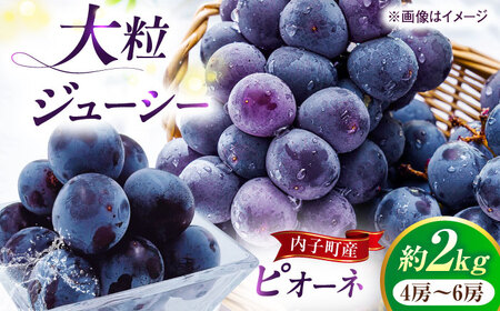 【先行予約】ピオーネ ムジ 4-6房 2kg BKAY011 ぶどう