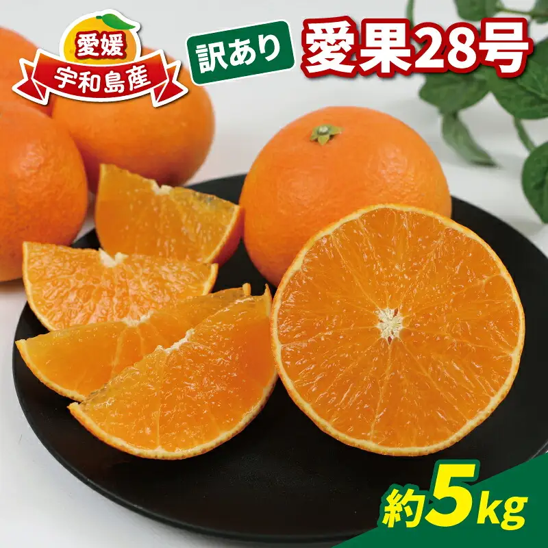 【紅まどんなと同品種】 訳あり 愛果28号 まどんな 5kg 家庭用 玉津柑橘倶楽部 B015-072026