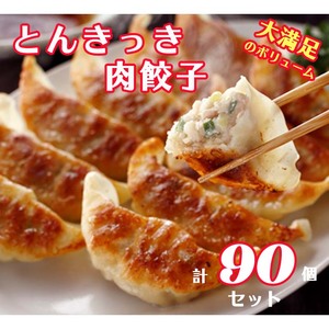 宇都宮餃子 とんきっき 肉餃子　90個（計1.6kg）