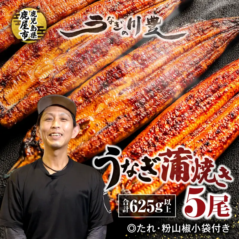 【 土用の丑の日特集 】 1043-2 昭和56年創業 うなぎの川豊 うなぎ蒲焼5尾 KN049-001-05 魚 冷凍 鰻