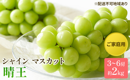 ぶどう 2026年 先行予約 ご家庭用 シャイン マスカット 晴王 3～6房 約2kg  岡山県産 シャインマスカット