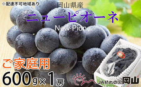 ぶどう 2026年 先行予約 ご家庭用 ニューピオーネ 約600g×1房 岡山県産 ピオーネ