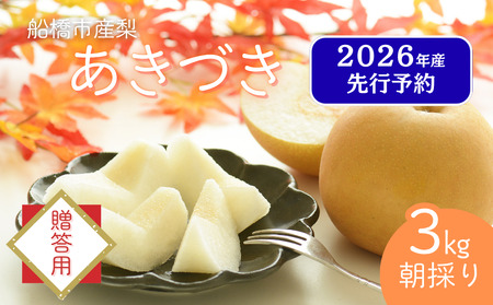【贈答用】果汁たっぷりの極上梨「あきづき・3kg」（2026年産）　果汁たっぷり　船橋産　9月上中旬発送　期間限定　梨　夏　6～9玉　なし　水菓子　果物　デザート