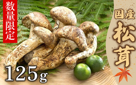 【数量限定】 天然松茸 125g 松茸ご飯、焼き松茸、土瓶蒸しなど 桐箱入 F4N-2522