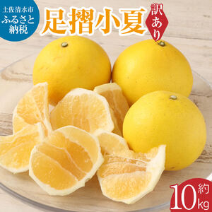 【先行予約】<訳あり>  早川農園の足摺小夏 10kg  【R00435】
