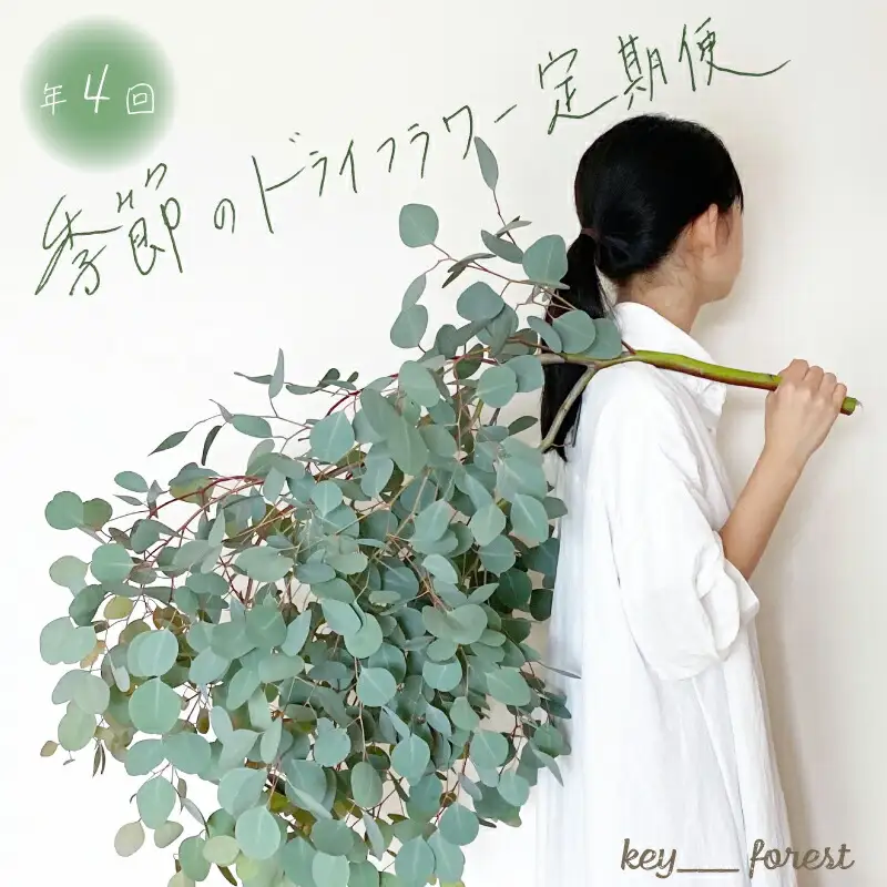 【定期便4回】 季節の草木花 スワッグ リース お花 HO