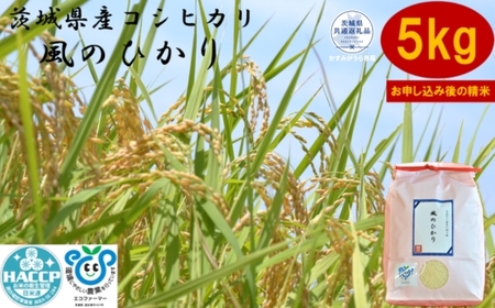 ＼農家直送！出荷日精米／茨城県産コシヒカリ　風のひかり　5kg（茨城県共通返礼品・かすみがうら市産） IJ-023