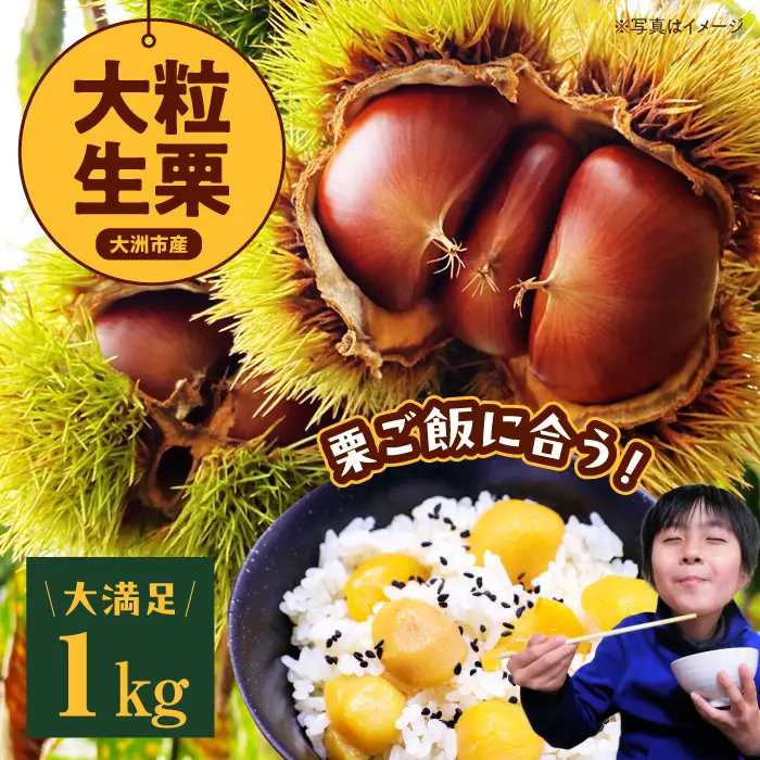 栗 【2026年9月下旬から順次発送】 大粒生栗 1kg[AGAE009]