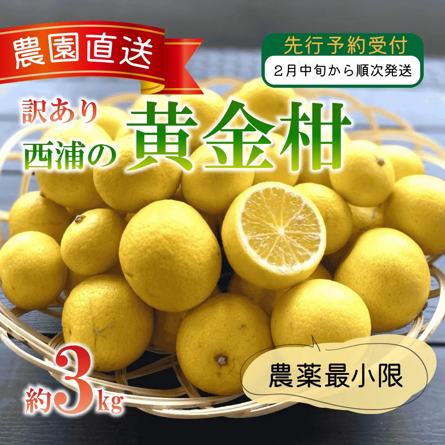 【訳あり】黄金柑 ゴールデンオレンジ 3kg 西浦 オレンジ 木負観光みかん園