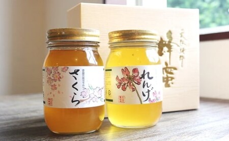 はちみつ 純はちみつ さくら＆れんげ 国産 はちみつ【600g×2本】