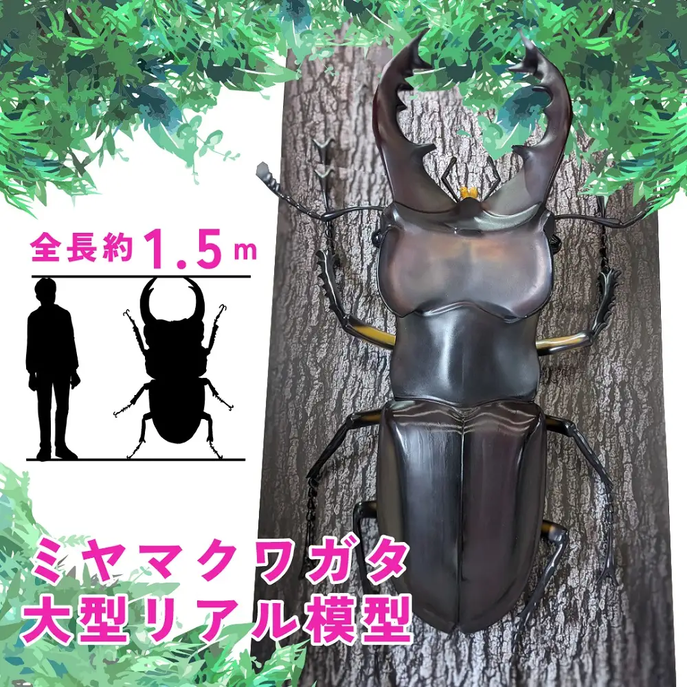 ミヤマ クワガタ 大型 リアル 模型 クワガタ 昆虫 おもちゃ 飾り（透明ケース付）