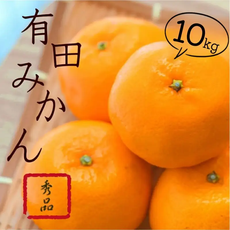 紀州有田みかん 秀品 約10kg(L・M・S・2Sサイズおまかせ)/ 和歌山 みかん 果物 柑橘【sml109B】
