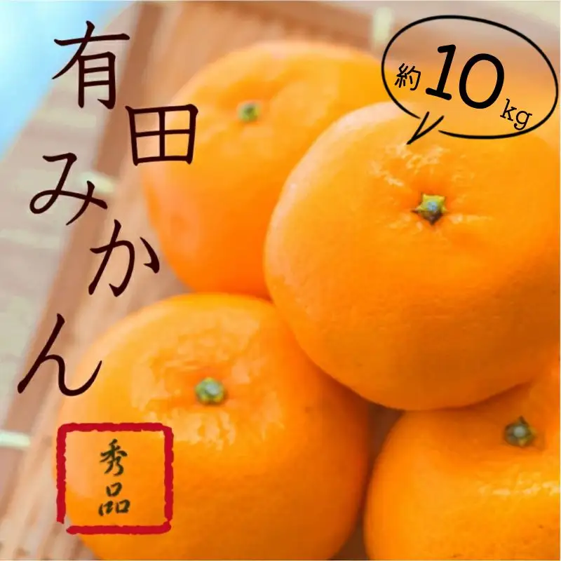 紀州有田みかん 約10kg 訳あり キズ 御家庭用 サイズ混合 ※2026年11月24日より順次発送予定 / くだもの 果物 フルーツ みかん ミカン オレンジ 【sml110C】 
