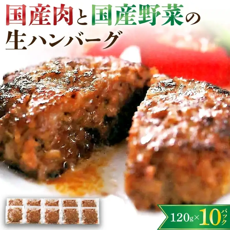 国産肉と国産野菜の生ハンバーグ　１２０ｇ×１０パック　0002-2203