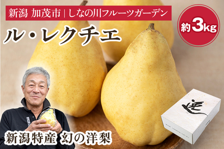 【2026年先行予約】新潟特産 幻の洋梨 ル・レクチェ【青秀品】約3kg《11月下旬〜お届け》