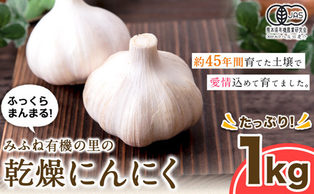 乾燥にんにく 1kg みふね有機の里《30日以内に出荷予定(土日祝除く)》熊本県 御船町 国産 御船町産 有機JAS認定 ガーリック 野菜 有機にんにく 熊本県御船町