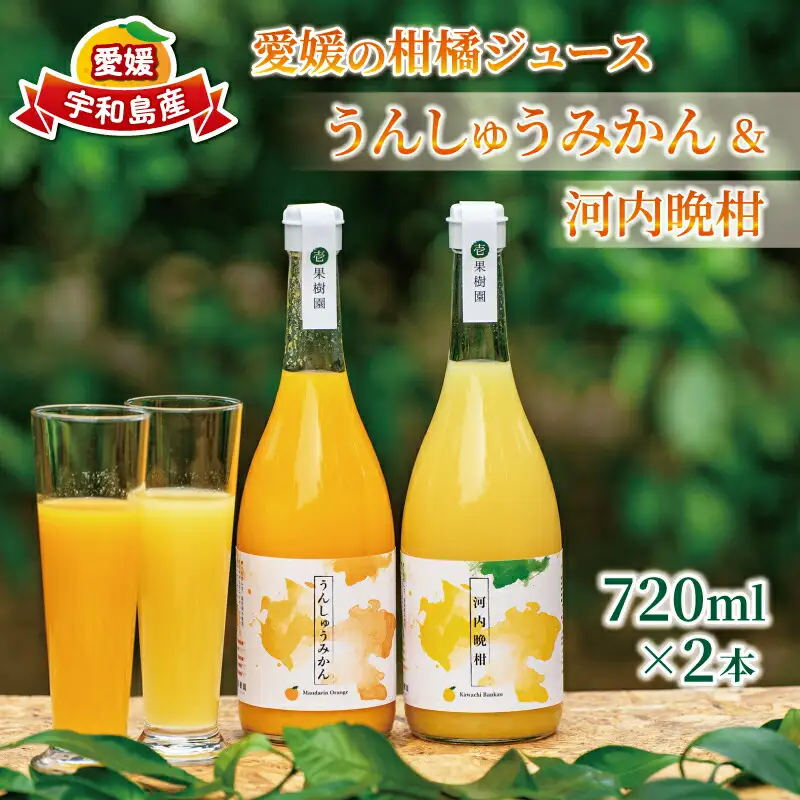 ストレートジュース 愛媛 の 柑橘ジュース 720ml × 2本 セット 壱果樹園 河内晩柑 温州みかん みかんジュース みかん 蜜柑 mikan フルーツ ジュース 果汁 100% 飲料 ギフト 贈答用 果物 くだもの 国産 愛媛 宇和島 H015-141002