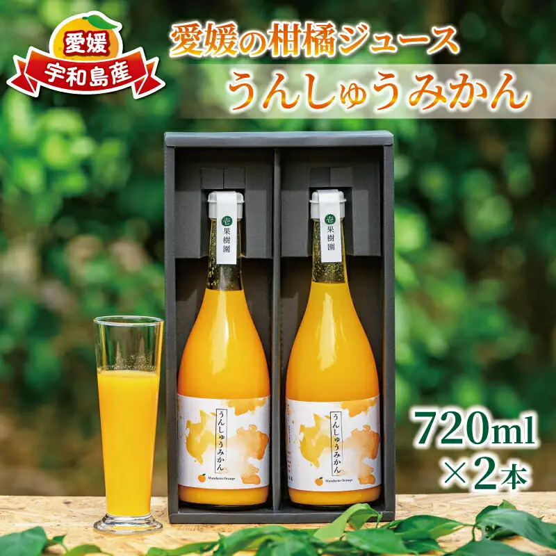ストレートジュース 愛媛 の 柑橘ジュース 720ml × 2本 セット 温州みかん 壱果樹園 みかんジュース みかん 蜜柑 mikan ジュース フルーツジュース 果汁 100% 飲料 柑橘 ギフト 贈答用 果物 くだもの フルーツ 国産 愛媛 宇和島 H015-141001