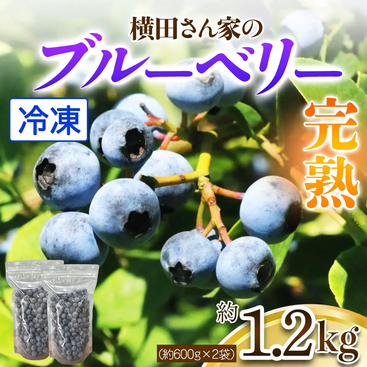 横田さん家の冷凍ブルーベリー 1.2kg (約600g×2袋) [1639]