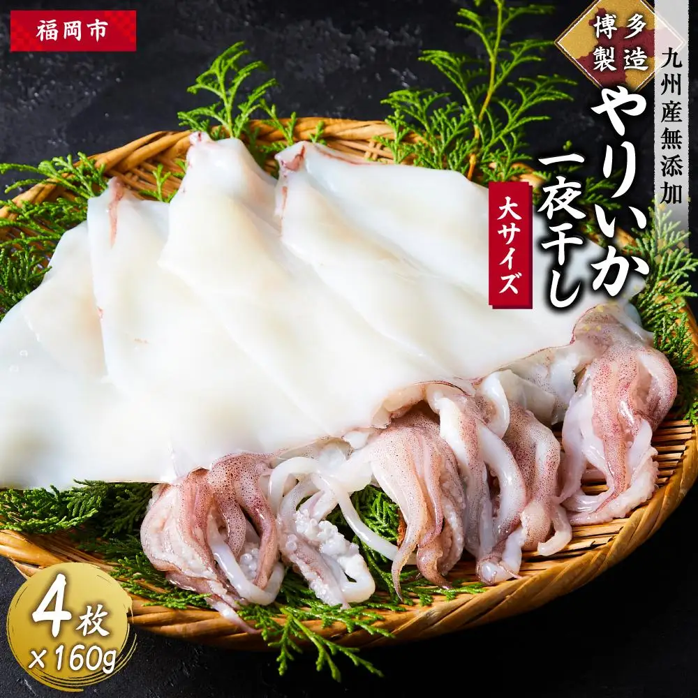 九州産無添加やりいか一夜干し（大サイズ・160ｇ×4）やりいか
