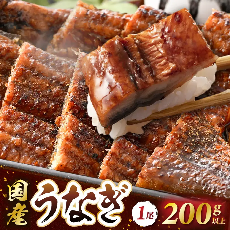 レンジ温め 国産 うなぎ蒲焼き1尾(200～250ｇ）手焼き 自家製タレ山椒付 冷凍 [e29-a005]