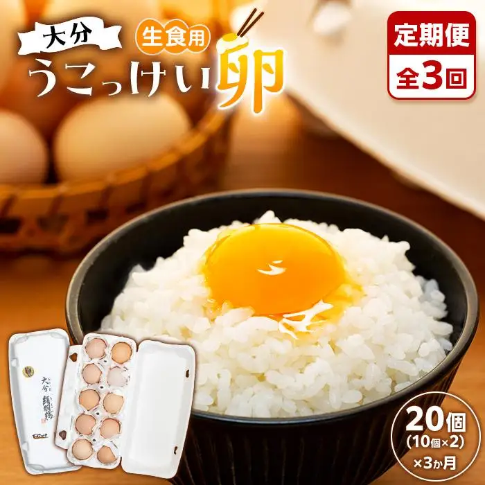 【定期便 全3回】大分うこっけい卵　生食用20個（10個×2）×3回