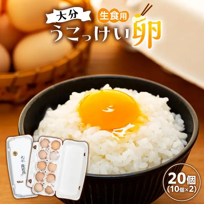 大分うこっけい卵　生食用20個（10個×2） | 卵 烏骨鶏