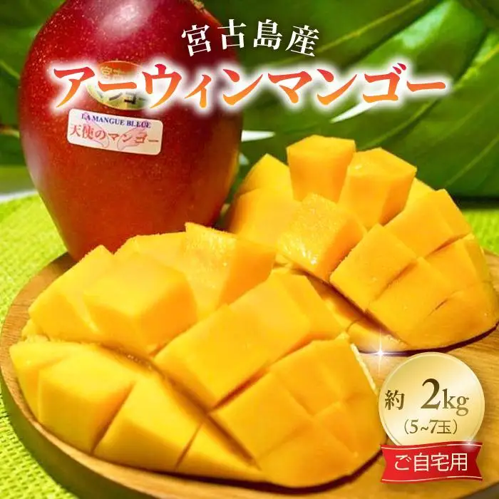 《先行予約 2027年発送》宮古島産アーウィンマンゴー 約2kg（6～9個）【ご自宅用】「LA MANGUE BLEUE」農家直送(GZ003)