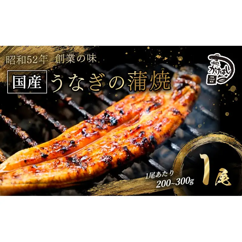 昭和52年創業の味 手焼き 国産 うなぎ 蒲焼き 1尾 200～300g  国産 鰻 美味しい 職人仕上げ ふっくら肉厚 タレ付き 冷凍発送 ギフト 贈答用 お取り寄せ グルメ ご飯のお供 九州 福岡 老舗の味